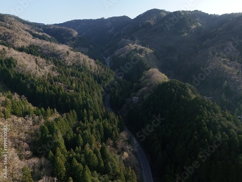 Aerial view of winding road through forested hills