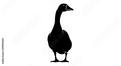 Black silhouette of a goose standing with silhouette standing isolated wildlife waterfowl creature