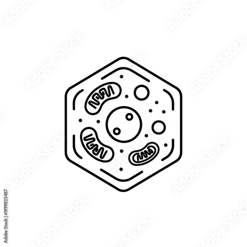 Abstract Animal Cell Diagram, Biology Science Icon, Vector Illustration