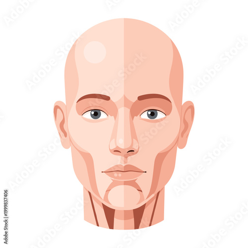 Human Head Flat Vector Illustration