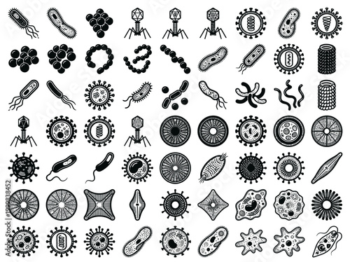 Microorganism and Microbiology Icon Set: Bacteria, Viruses, Bacteriophages, Protozoa, and Pathogenic Microbes Vector Illustration