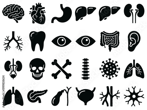 Human Internal Organs Icon Set. Black Silhouette Anatomy and Medical Symbols for Healthcare Infographics and Scientific Design.