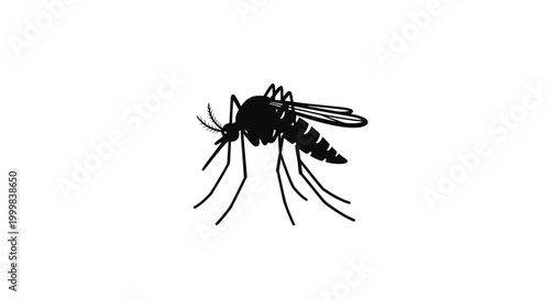 Black and White Illustration of Mosquito.