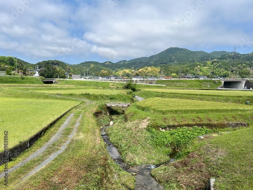 日本の農村の風景