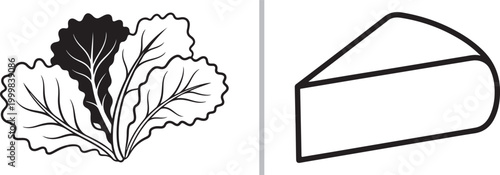 Lettuce leaves and cheese wedge isolated on white background minimalist vector illustration
