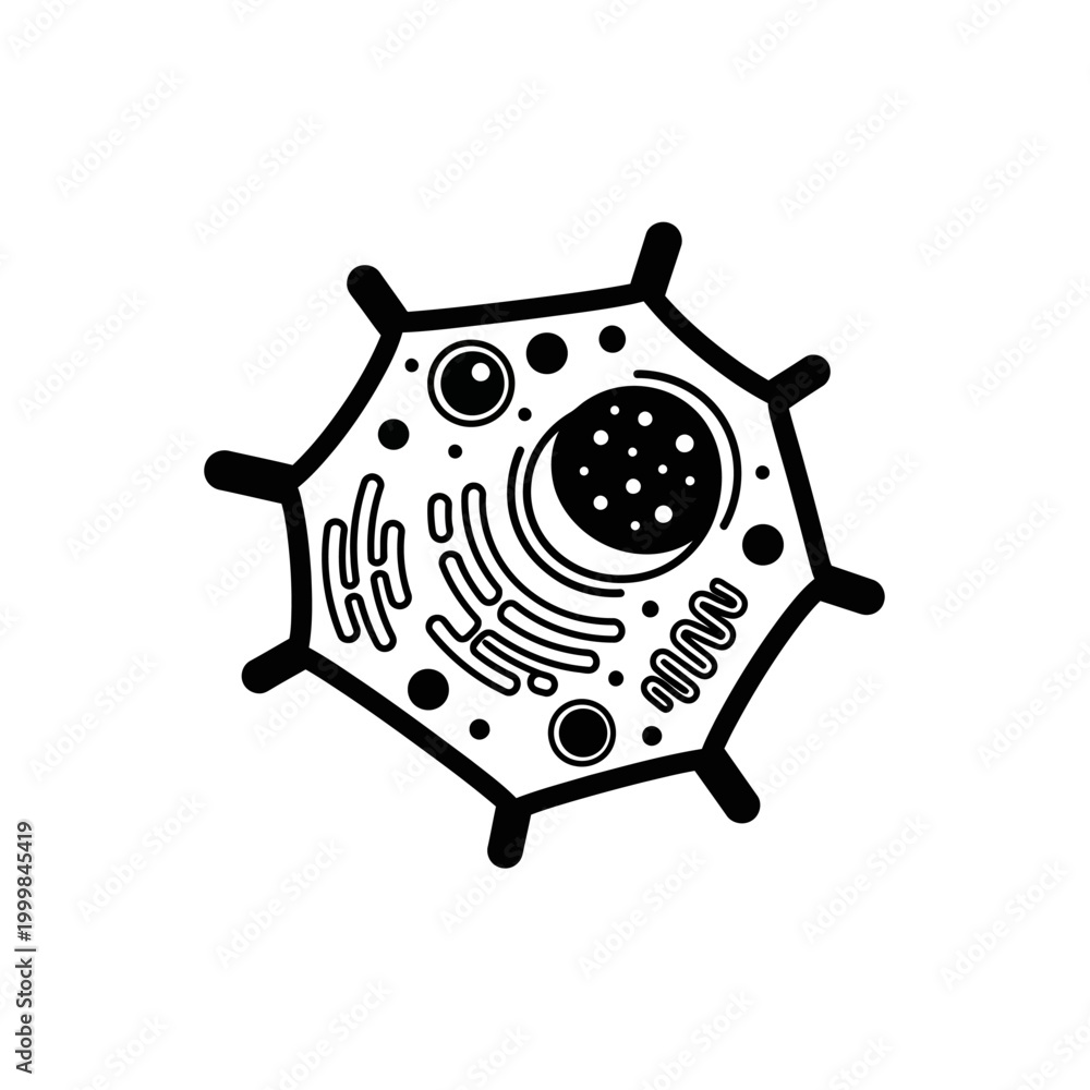Fototapeta premium Animal Cell Diagram - Black and White Vector Illustration