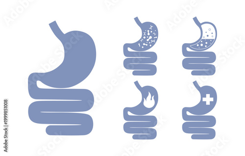 Digestive problems and health, normalizing of functionality of stomach digestive tract. Icons set gut heath.