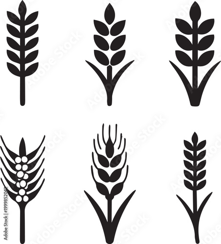 Barley Rye Silhouette Vector Set File