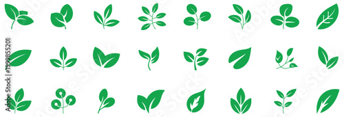 Green leaf icons set with assorted plant and tree leaf designs, natural eco-friendly symbols, fresh organic elements, and minimal botanical vector collection, ideal for vegan labels, green branding