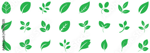 Green leaf icons set collection showing leaves of trees and plants, eco and bio nature symbols, organic foliage elements, and clean modern vector design, perfect for natural products, vegan branding
