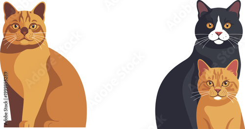 Vector illustration of cats in various poses isolated on white background