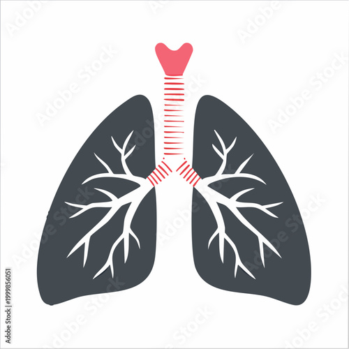 Stylized Illustration of Human Lungs and Trachea