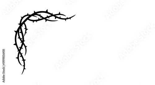 Black thorny branch silhouette on white background.