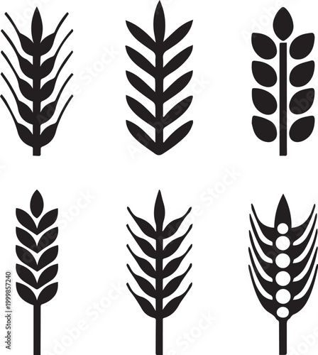 Barley Rye Silhouette Vector Set File