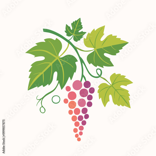 Stylized Grapes and Leaves Illustration