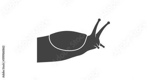 Foto Simple Black Snail Silhouette with Antennae.