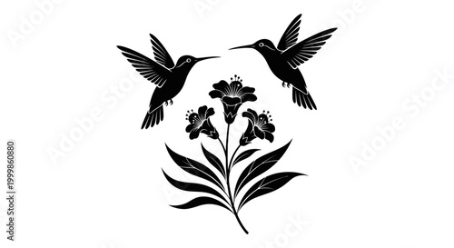 Two black hummingbirds flying near a blooming lily flower with hummingbird wildlife pollination insectivore