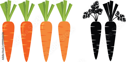 Carrot vector collection with colorful and silhouette variations, simple flat vegetable illustrations set, fresh organic food icons isolated on white background