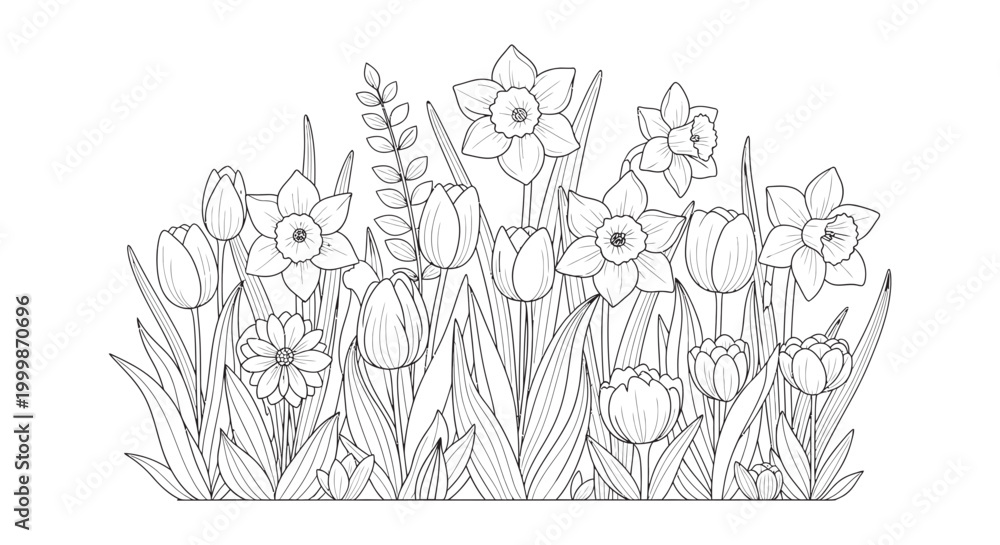 Obraz premium Outline drawing of spring flowers and green grass with black and white line art hand drawn daffodils