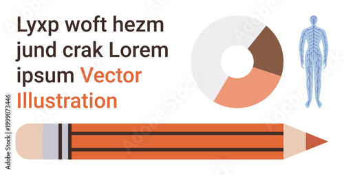 Education, analytics, medical studies, anatomy concepts, presentation design, creative communication. A pencil, pie chart human anatomy figure and text align dynamically. Education and analytics