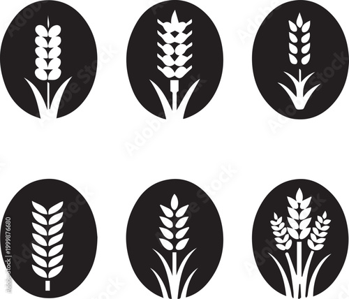 Barley Rye Silhouette Vector Icon Set