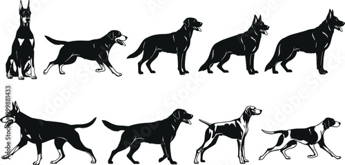 Dog silhouettes set with multiple breeds in walking standing poses isolated black vector illustration collection animal design