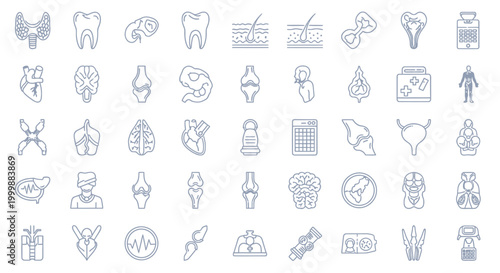 Anatomical Icons Design Collection for Medical Illustration Projects