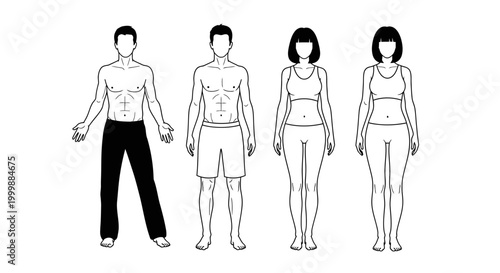 Human Anatomy Chart of Male and Female Body Structure Illustration