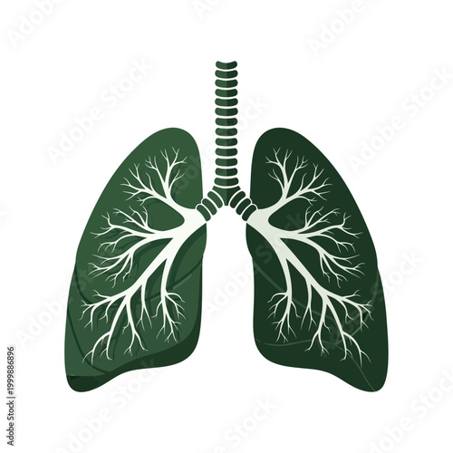Healthy Lungs Illustration - Green Organic Respiratory System