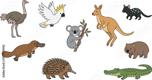 Cute Cartoon Australian Animals Collection Set with Koala Kangaroo Platypus Wombat Echidna Crocodile Ostrich and Cockatoo Vector Illustration on White Background