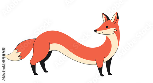 Long orange fox with black paws and a white tip on its tail standing against a clean white background in profile view.