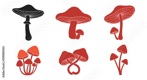 Set of stylized mushroom illustrations in black and shades of red showcasing different fungi species with detailed caps and stems.