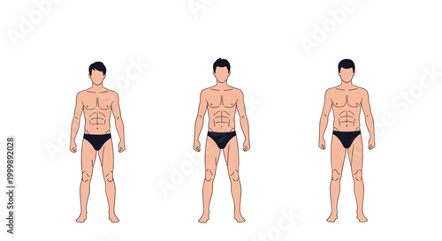 Three male figures showing different body types including slim, athletic, and average builds in black underwear for comparison.
