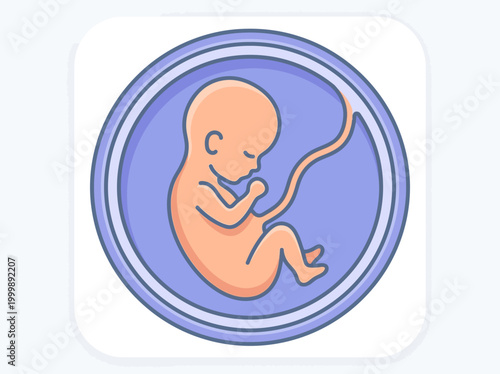 Human Fetus in Womb Vector Illustration Icon - Prenatal Development and Pregnancy Healthcare Concept