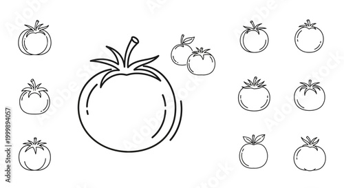Fresh Tomato Line Drawing Illustration.