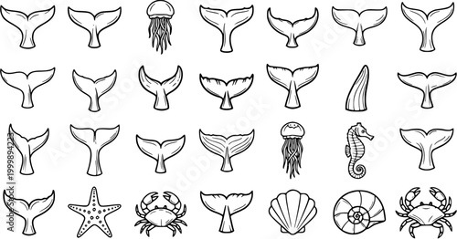 Black and White Line Art Whale Tails and Marine Life Icons Set. Outline Drawings of Sea Animals, Jellyfish, Seahorse, Starfish, Crabs, and Shells.