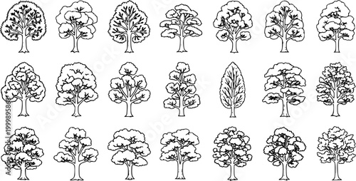 Collection of Black and White Line Art Trees. Outline Vector Illustrations for Landscaping, Urban Planning, Nature, and Architectural Design.