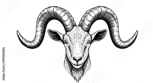 Ram Head Sketch, Majestic Horns, Zodiac Symbol, Aries, Hand Drawn Illustration
