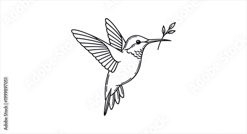 Elegant Hummingbird with Olive Branch Line Art Drawing.