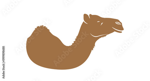 Simple Camel Head and Neck Illustration.