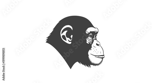 Fotografía Black and White Chimpanzee Head Illustration.
