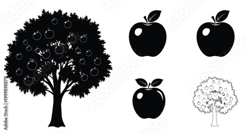 Apple tree with fruit and individual apples in a stark silhouette