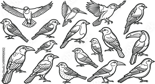 Collection of black and white line of various birds in different poses line black and white flying