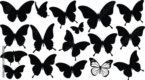 Collection of black butterfly silhouettes, one detailed outline, on white background, insect