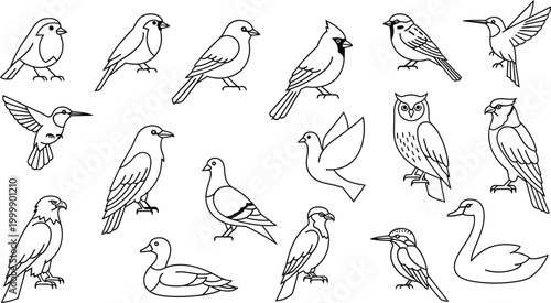 Collection of diverse bird outlines, including sparrow, cardinal, hummingbird, owl, dove, eagle, duck, kingfisher