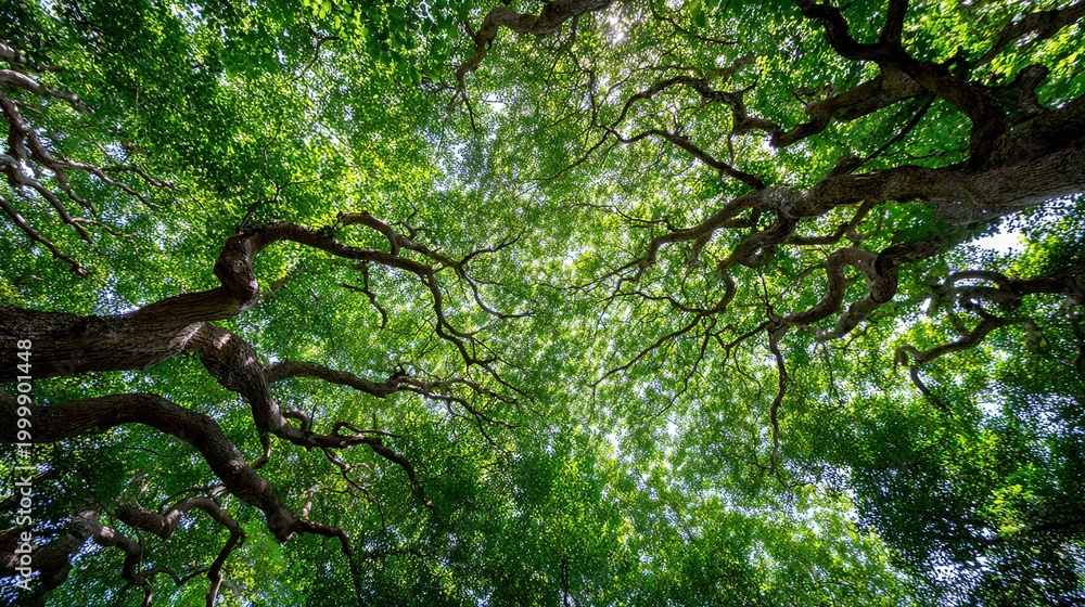Fototapeta premium Worm's-eye view vibrant green forest canopy, thick pale tree branches forming natural overhead arch, sunlight filtering through leaves with dappled bright highlights against deep green shade
