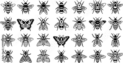 Entomology Nature Black and White Line Art Icon Set: Diverse Flying Insects, Bees, Wasps, Butterflies  Moths Collection