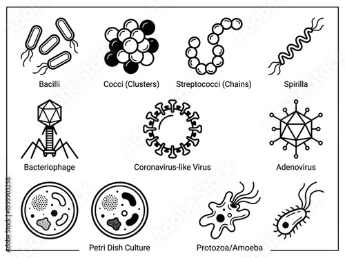 Microbiology Icon Set Featuring Bacteria, Viruses, and Protozoa: Professional Line Art Illustrations of Bacilli, Cocci, Coronavirus, Adenovirus, and Petri Dish Cultures
