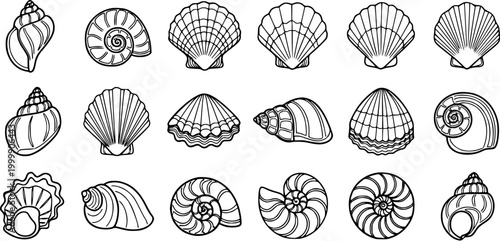 Black and White Line Art Collection of Various Seashells and Conch Shells
