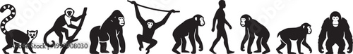 Human and Primate Evolution Silhouette Icons Collection